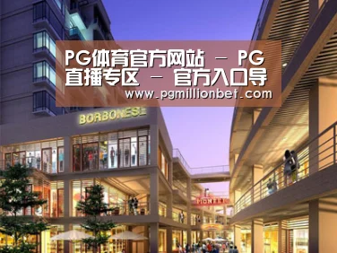 案例展示一(图1)