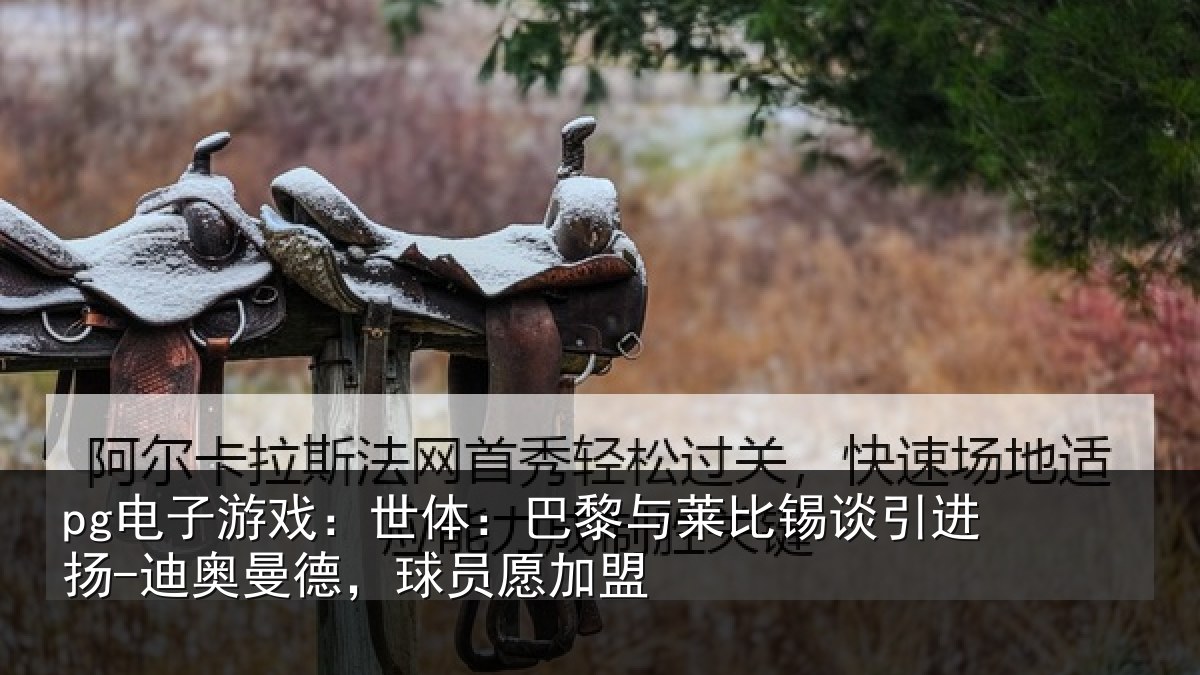 pg电子游戏:世体:巴黎与莱比锡谈引进扬-迪奥曼德,球员愿加盟