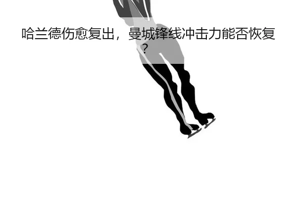 ha-lan-de-shang-yu-fu-chu-man-cheng-feng-xian-chong-ji-li-neng-fou-hui-fu-3-314.jpg